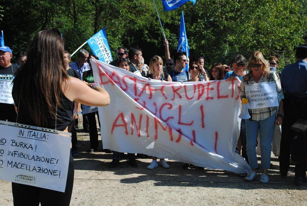 Offese e calci alle auto: tensione per la protesta animalista all’inaugurazione del macello Halal 