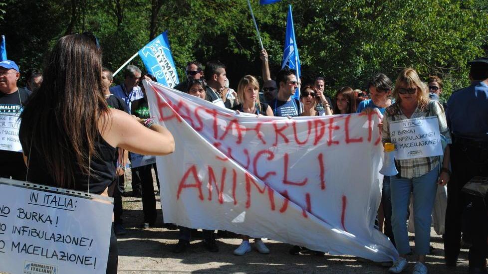 Offese e calci alle auto: tensione per la protesta animalista all’inaugurazione del macello Halal