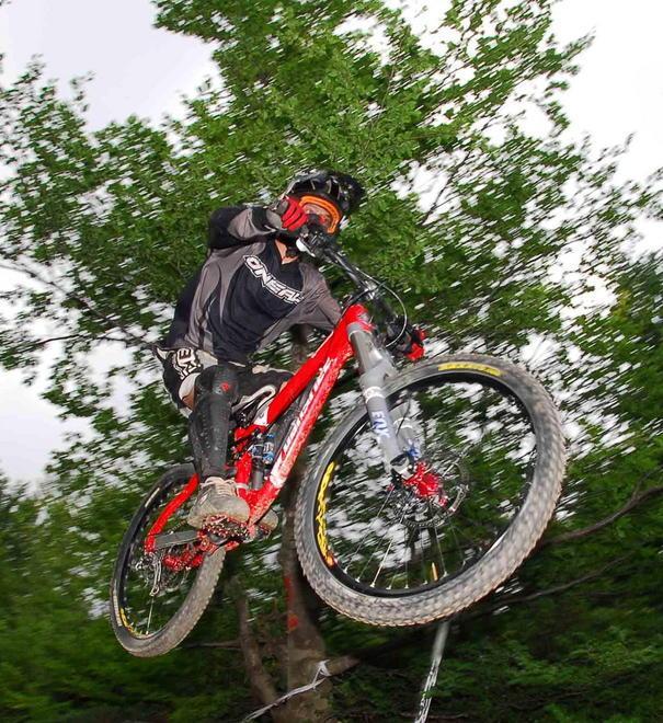 Con la bici contro un albero mentre pratica downhill