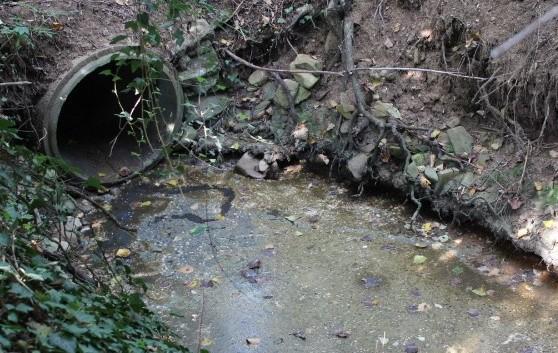 «Rio Maldello, la bonifica nel 2016» 