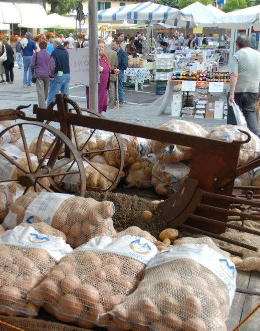 Montese festeggia la patata tipica che salva l’economia 