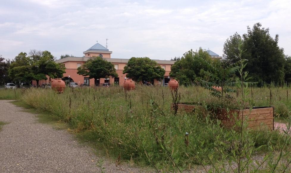 Correggio, scade il bando per gli orti