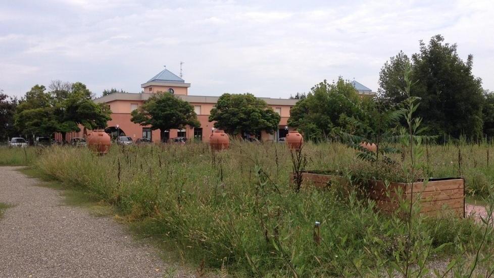 Correggio, scade il bando per gli orti