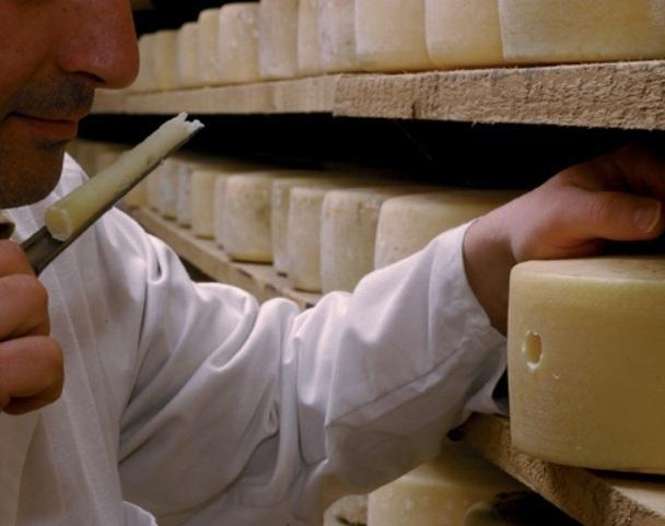 Pecorino di Manciano vittima dell'embargo di Putin 