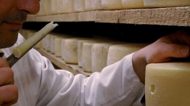 Pecorino di Manciano vittima dell'embargo di Putin
