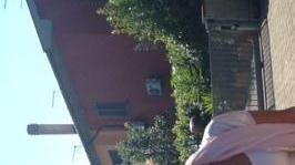 Vernice rossa sull’auto della presidente Viegi