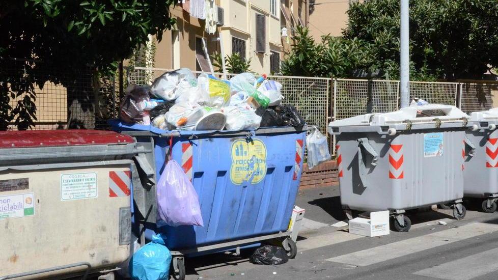 «Nessuno svuota il cassonetto»