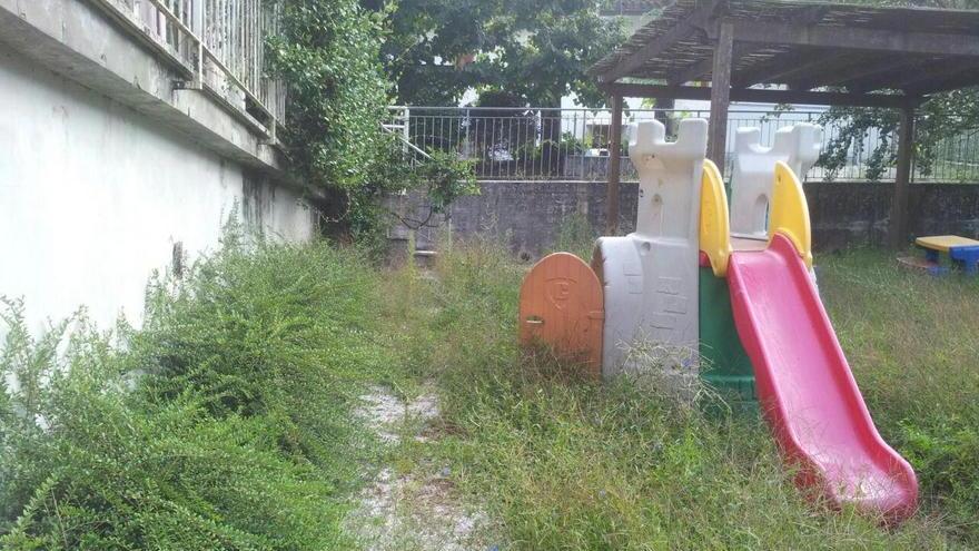 Erba alta nel giardino della materna