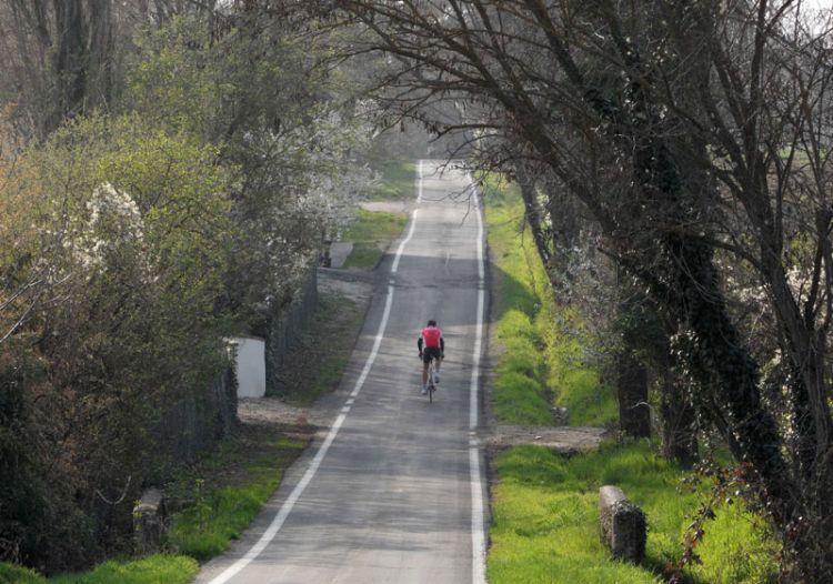 Cicloturismo, l’Emilia-Romagna progetta una rete di 3.800 chilometri