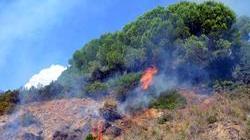Torna il piromane, incendio sulla panoramica a Castiglione