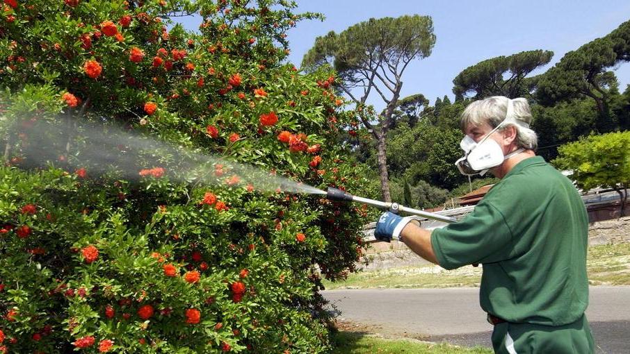 Ordinanza proroga l’appalto per la lotta a zanzare e ratti