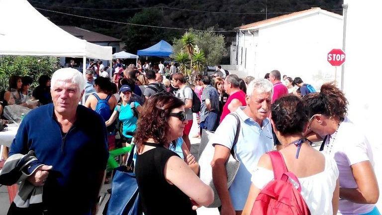 Asinara, il futuro del Parco nel rilancio di Cala d’Oliva 