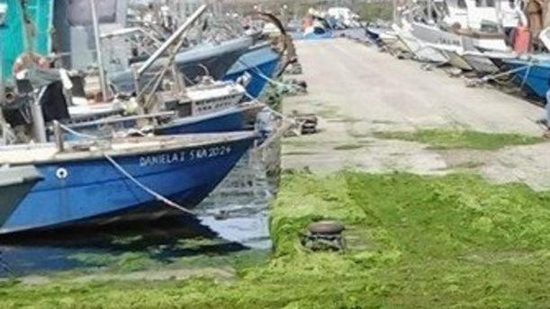 I pescatori di Goro si “autotassano”
