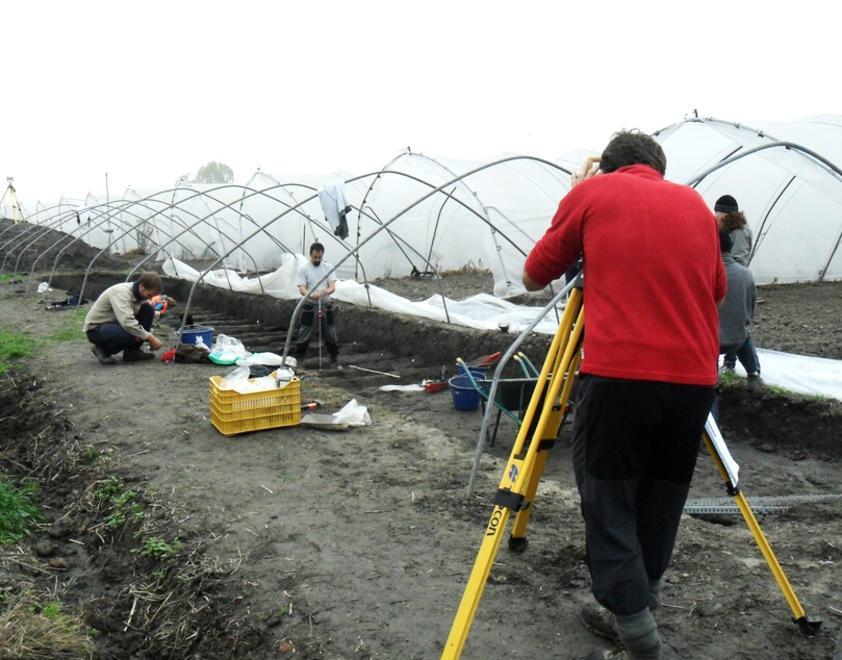 Ripresi scavi e ricerche alla Terramara di Pilastri 