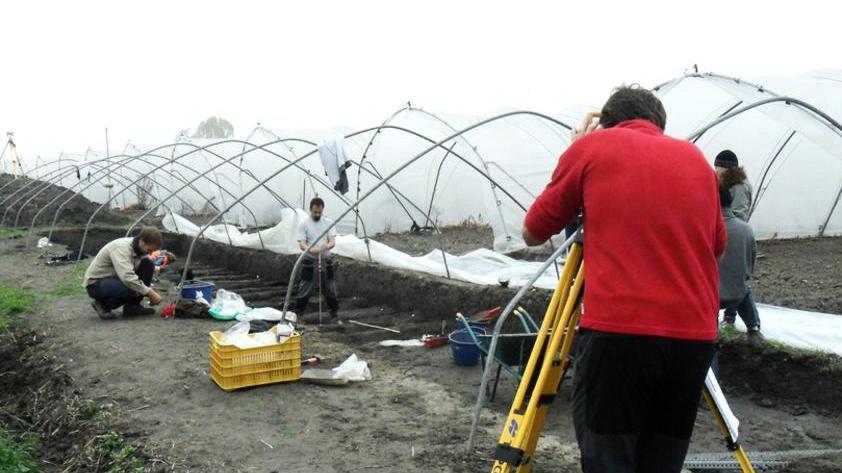 Ripresi scavi e ricerche alla Terramara di Pilastri