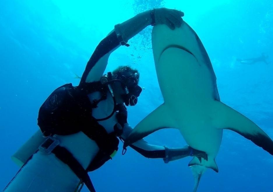 «Con la mia tecnica farò addormentare gli squali ai Caraibi» 