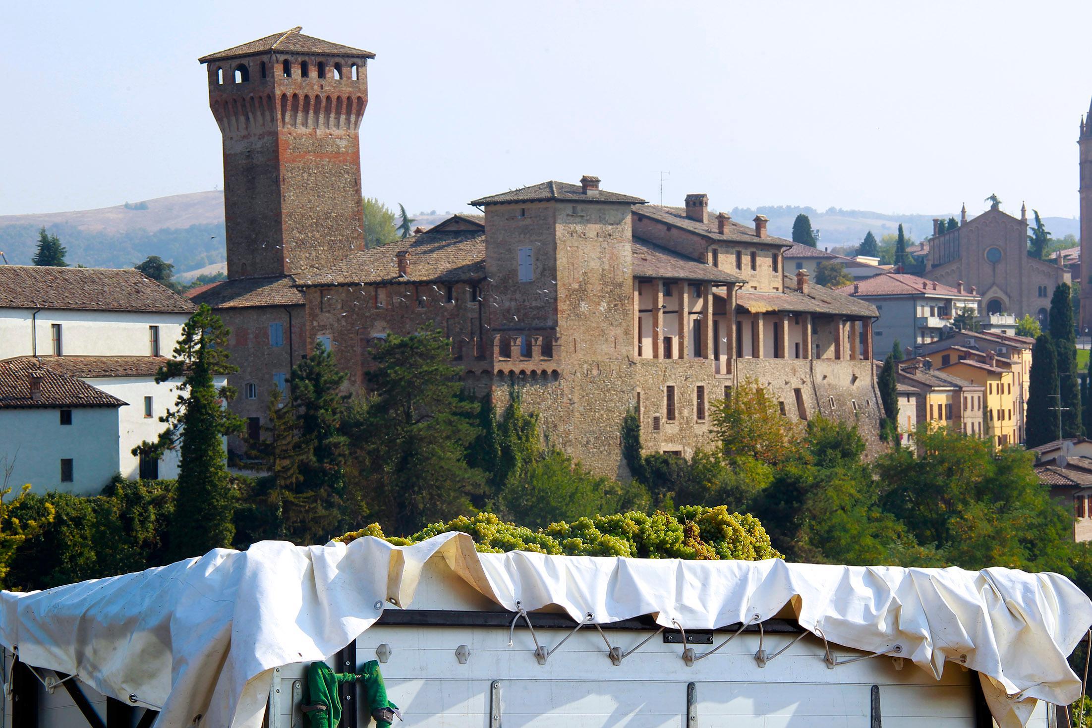 La vendemmia del lambrusco è iniziata nel modenese
