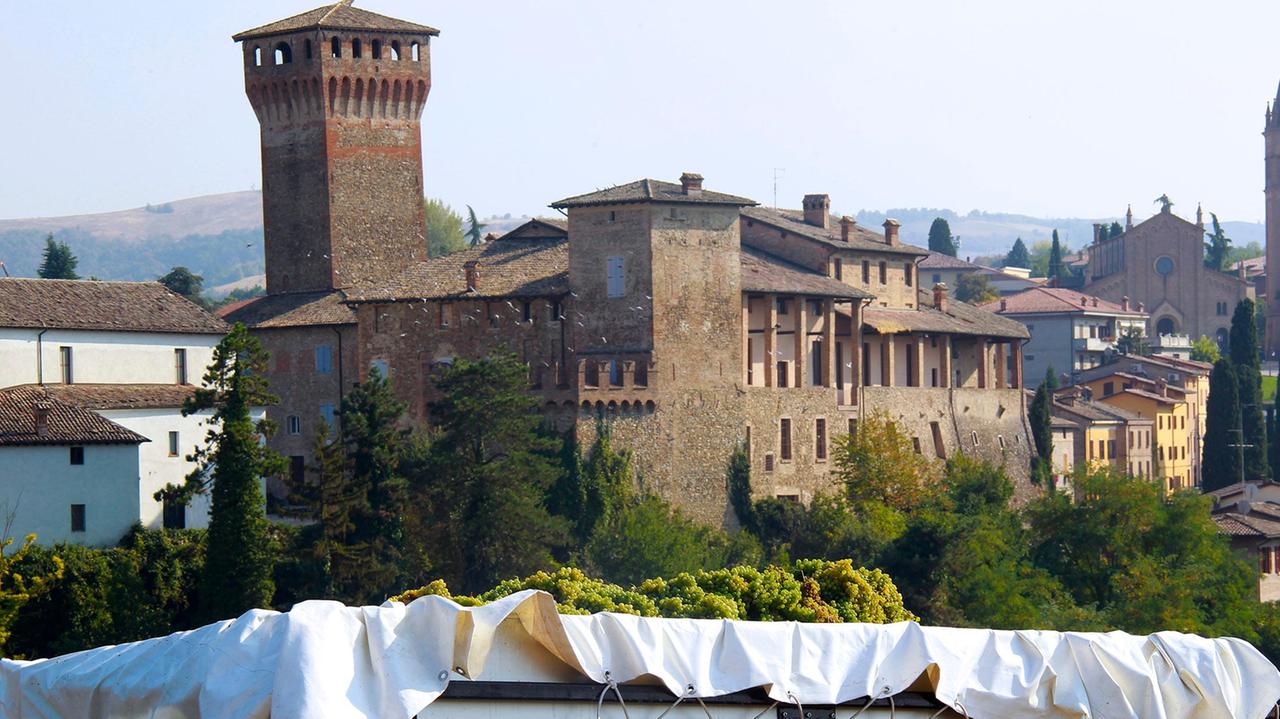 La vendemmia del lambrusco è iniziata nel modenese