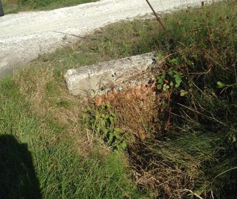 Fossi in cerca di pulizia e taglio erba 