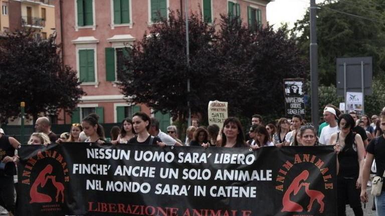 «Macachi liberi»: 30mila firme