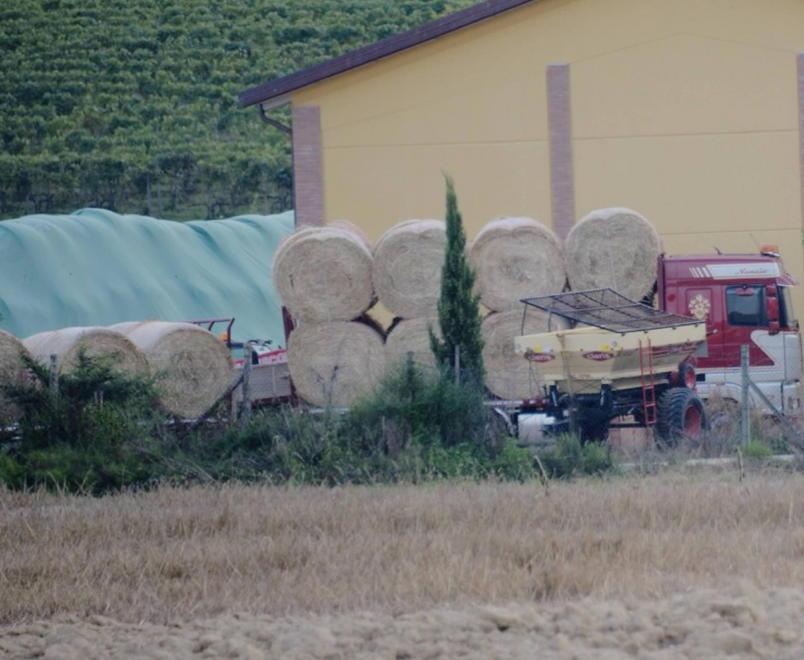 «Gli ho gridato di spostarsi ma è stato schiacciato»
