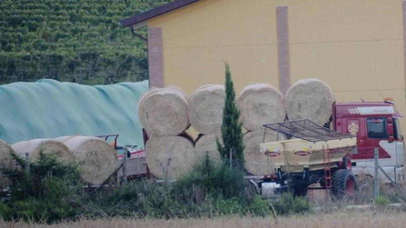 «Gli ho gridato di spostarsi ma è stato schiacciato»