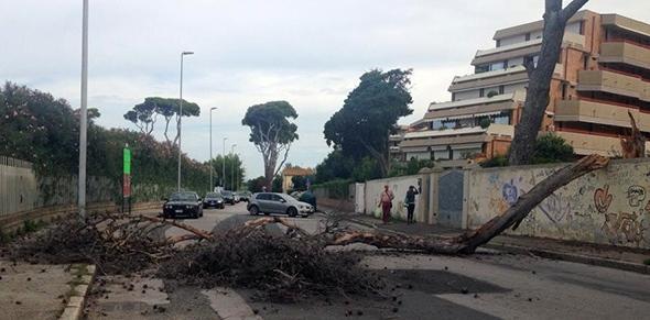 Crolla un pino paura a Banditella 