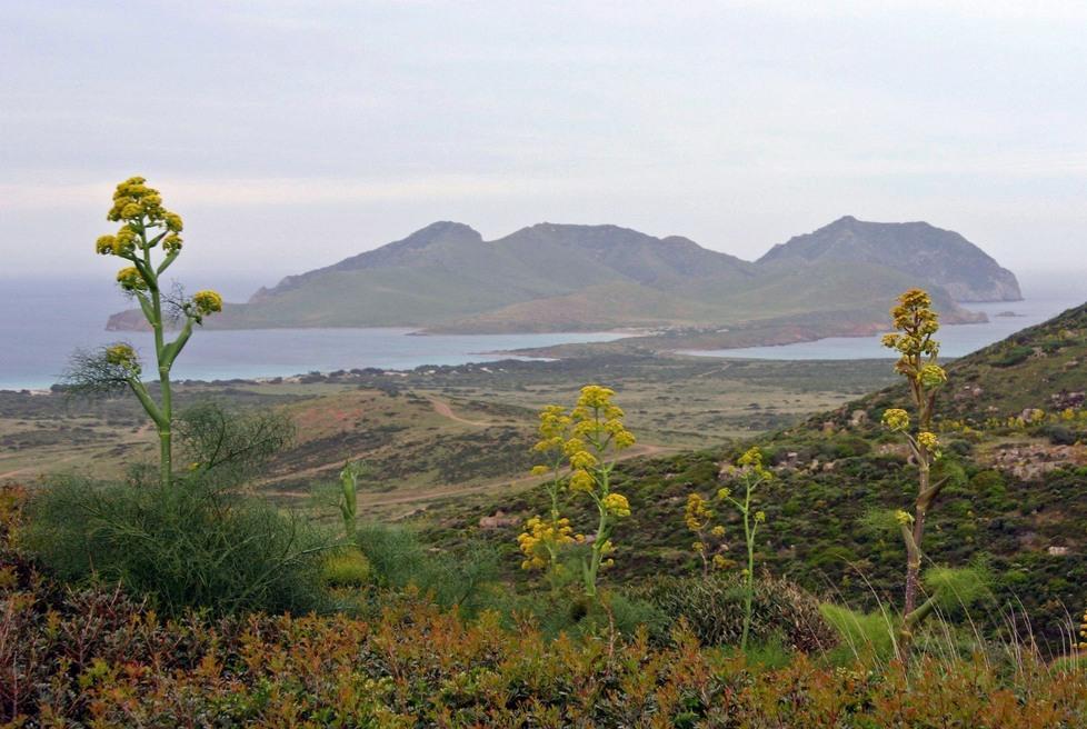 Teulada, servono 3 anni per bonificare il poligono 