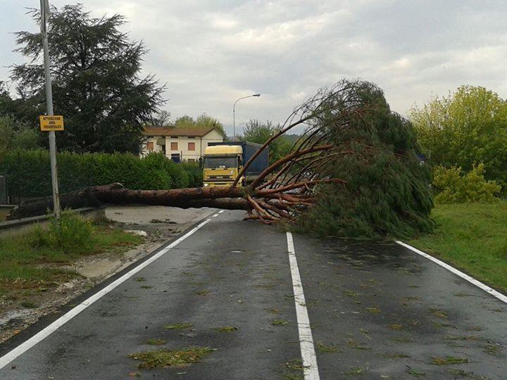 Tromba d’aria provoca allarme, danni e disagi fra Pistoia, Empoli e Firenze 
