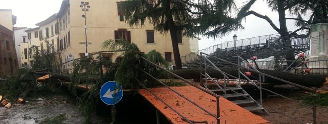 Tromba d’aria, 39 feriti: alberi sradicati, danni ai tetti e alle aziende. Crollo in una scuola 