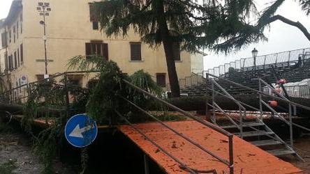 Tromba d’aria, 39 feriti: alberi sradicati, danni ai tetti e alle aziende. Crollo in una scuola