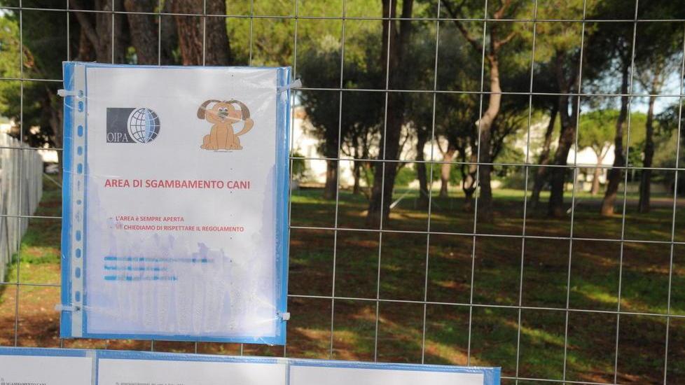 Stop ai cani a San Luigi, resta l’area a Cassarello