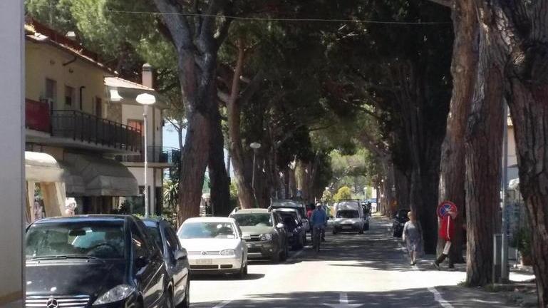 La Maremmana si fa bella Via ai lavori di restyling