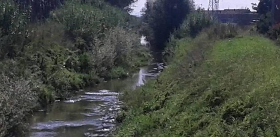 Manutenzione zero, il rio Fossanuova diventa una jungla 