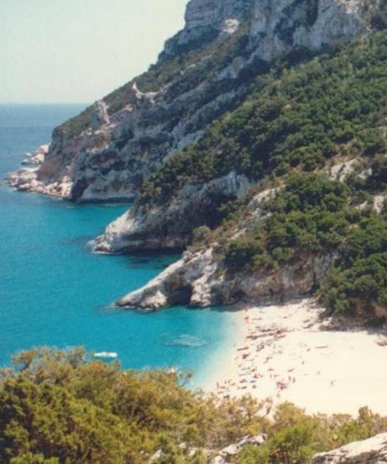 «La battaglia contro i trasgressori è ardua ma il rispetto delle regole per me è sacro»