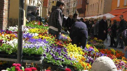 Corso Canalgrande si veste del giardino autunnale