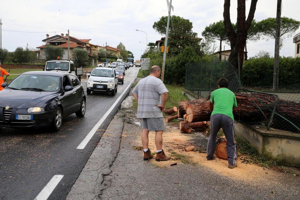 Maltempo: alberi caduti e scantinati allagati nella notte 