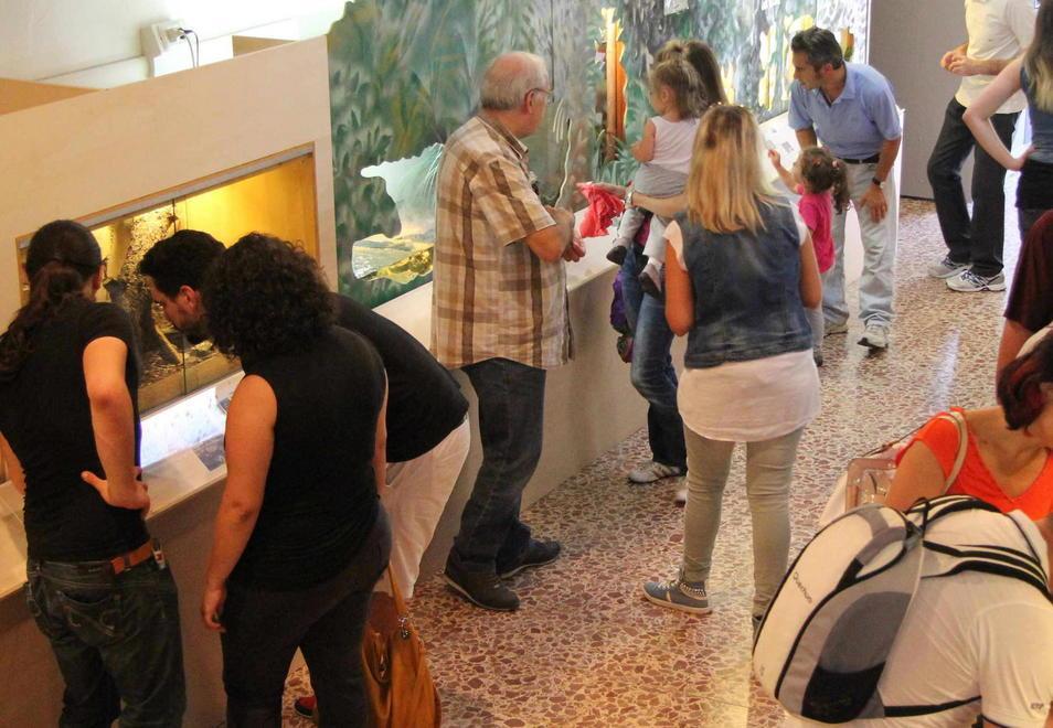 Inaugurato il nuovo rettilario a Galceti - Le foto dei rettili 