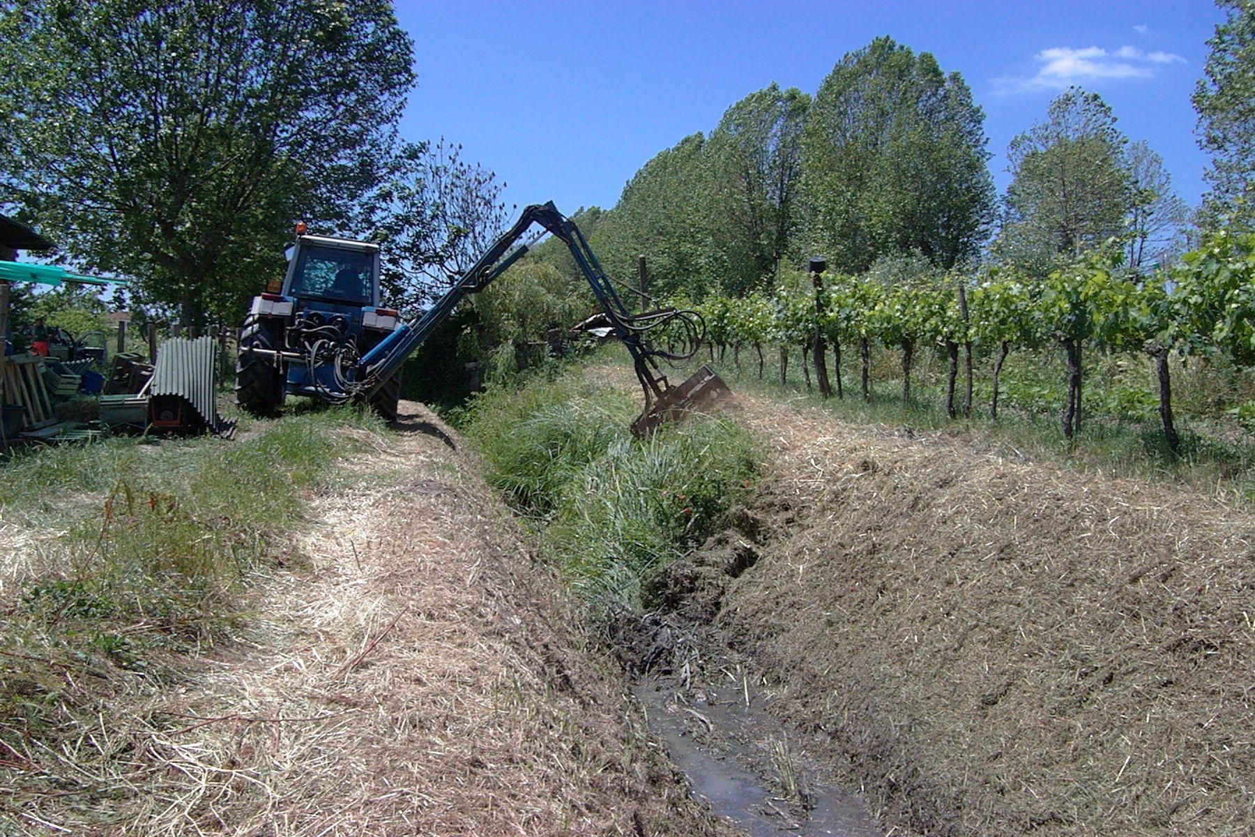 Via al taglio della vegetazione sul fiume Nievole 