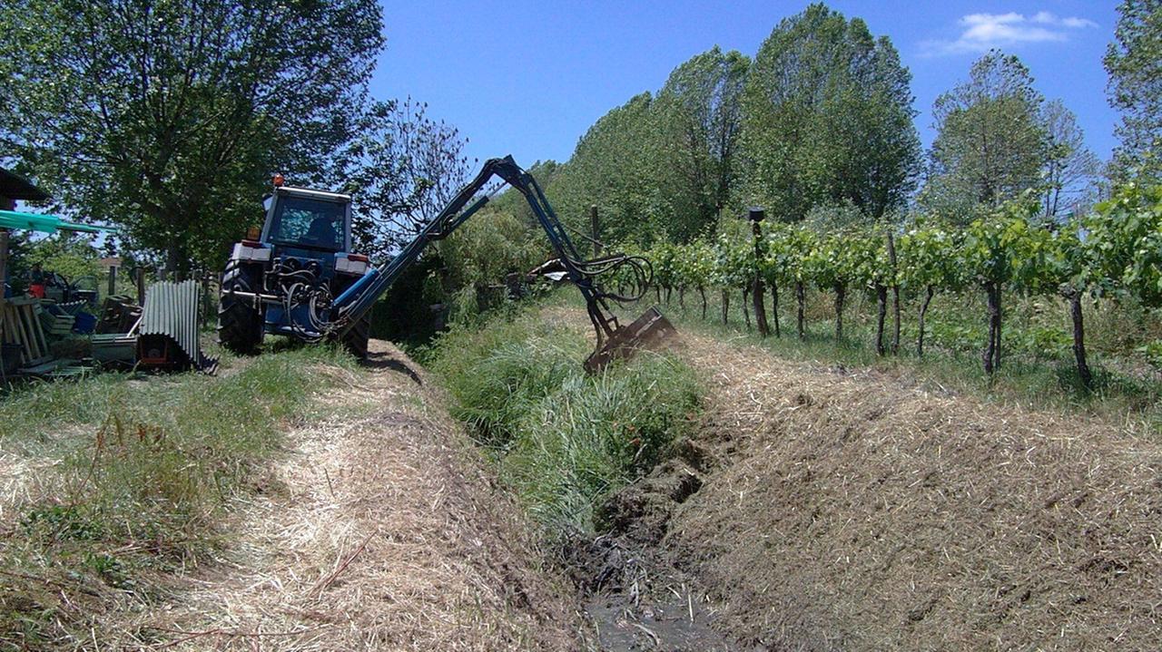 Via al taglio della vegetazione sul fiume Nievole