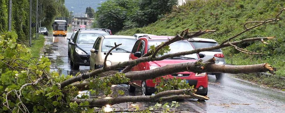 Albero cade su un’auto ferite tre persone danni per il temporale 