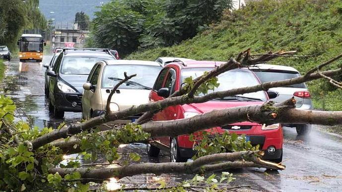 Albero cade su un’auto ferite tre persone danni per il temporale