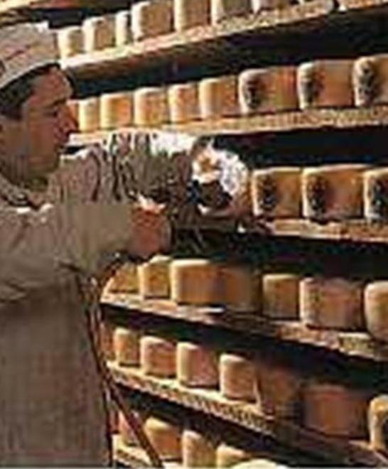 Premiato il pecorino del cuore