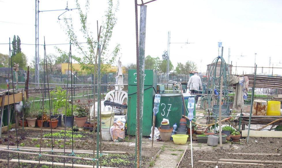 Al via gli orti urbani: autoproduzione per famiglie indigenti 