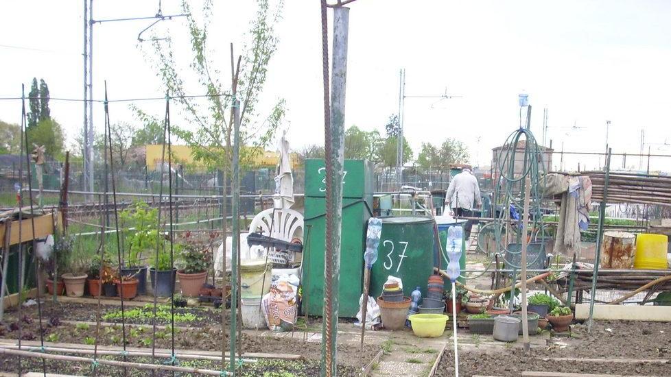 Al via gli orti urbani: autoproduzione per famiglie indigenti
