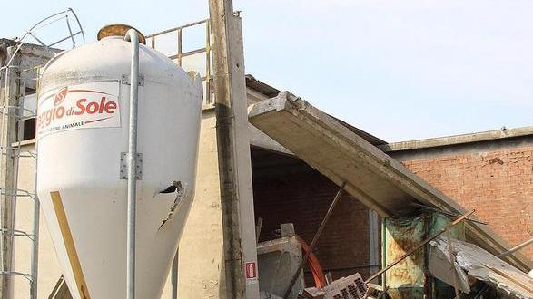 «Sisma, senza proroga agricoltura in ginocchio»