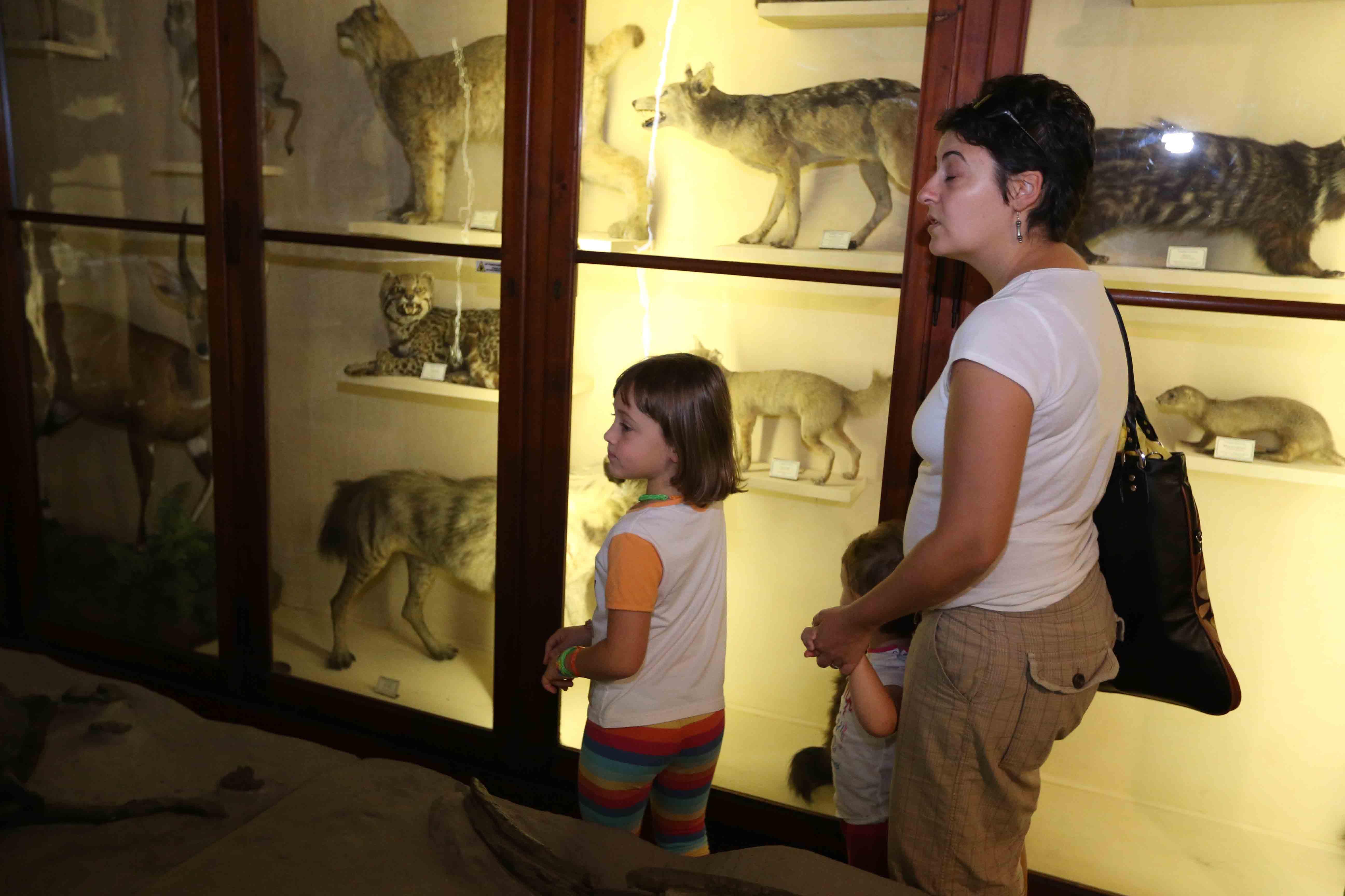 Open Day affollato al Palazzo dei Musei