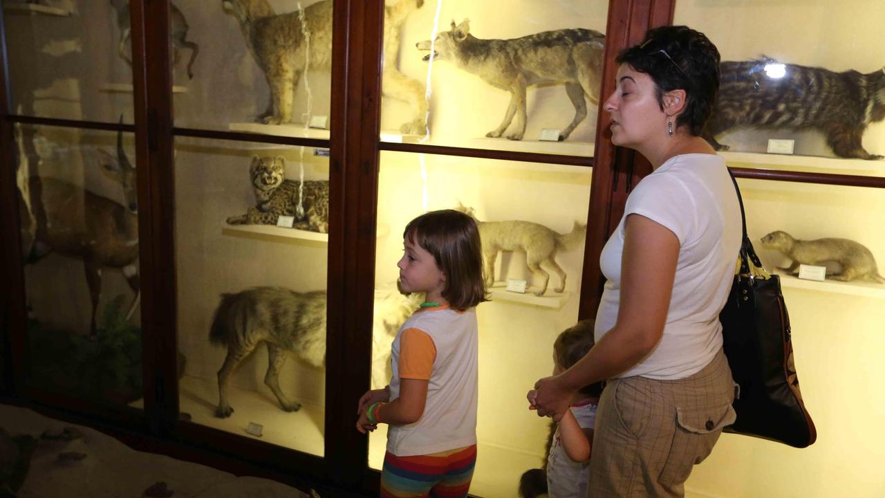 Open Day affollato al Palazzo dei Musei