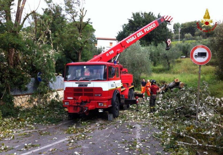 Coltivazioni distrutte e serre in pezzi 