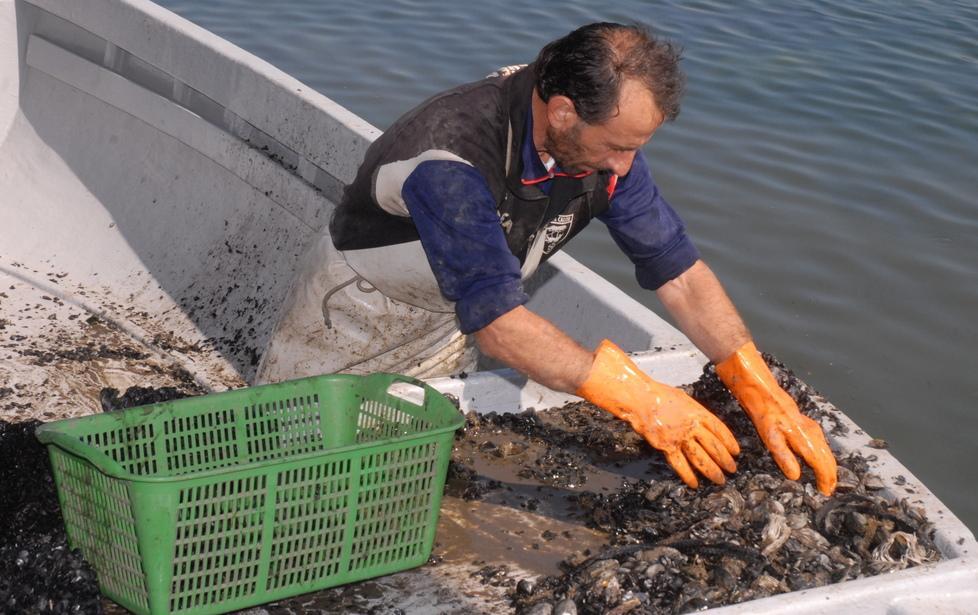 In città una sede dello Zooprofilattico 